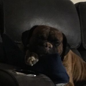 Meet your Posher, Mary